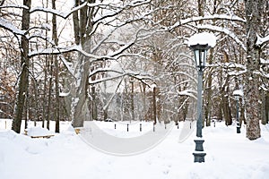 Beautiful park in winter after snowfall with trees, old street lamps and benches covered by snow