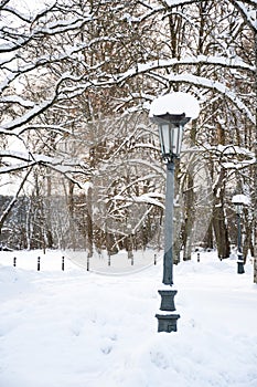 Beautiful park in winter after snowfall with trees, old street lamps and benches covered by snow