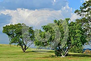 Beautiful parkland in western Sydney, Australia.