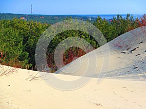 Beautiful Parnidis dune and Nida, Lithuania photo