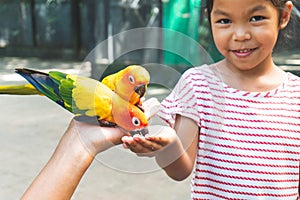 Beautiful parrot birds standing on child hand and eating sunflower seed on hand