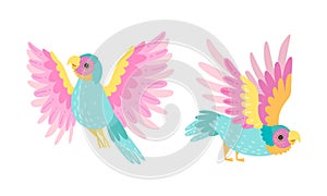 Beautiful Parrots Set, Exotic Flying Tropical Birds Cartoon Vector Illustration