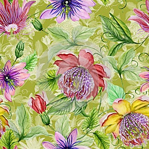 Beautiful passion flowers passiflora on climbing twigs with leaves and tendrils on green background. Seamless floral pattern.