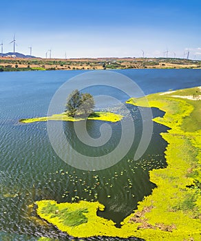 A beautiful pastoral landscape a tree