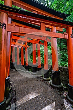 Beautiful path at Fushimi Inari shrine lined with thousands of Torii gates at Kyoto, Japan