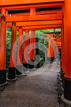 Beautiful path at Fushimi Inari shrine lined with thousands of Torii gates at Kyoto, Japan