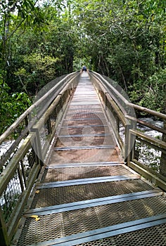 Beautiful path made by wood in Iguazu falls, Argentina
