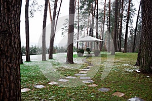 Beautiful path in the park with a gazebo between the pines