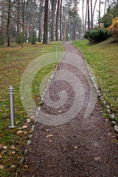 Beautiful path in the park with lanterns between the pines