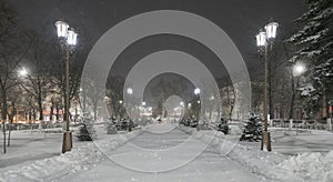 Beautiful path in a snowy park, Armavir, Russia, Krasnodar region