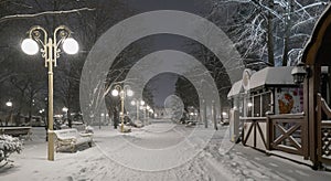 Beautiful path in a snowy park, Armavir, Russia, Krasnodar region