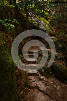 Beautiful path with stairs steps carved in sandstone leading through old forest located in Adrspach, Broumov Czechia