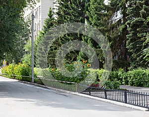 A beautiful path to the Vrubel Museum in the historical center of Omsk in summer