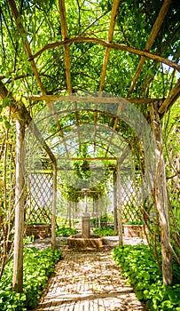 Beautiful pathway in a garden in Italy