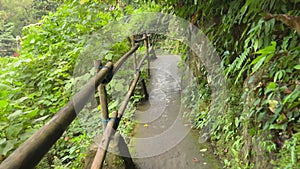 Beautiful pathway in the mountains. Narrow lane through the jungle in tropical wild rainforest. Road leading to