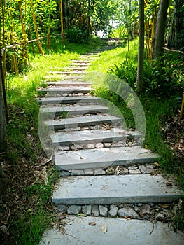 Beautiful pathway in a park in summer, Landscape with scenic winding footpath in sunlight