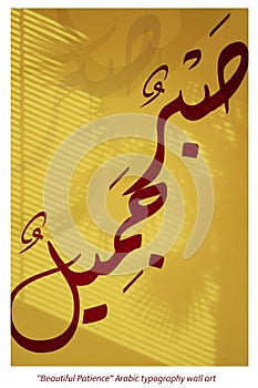 Beautiful Patience Arabic Calligraphy Islamic Wall art home decor