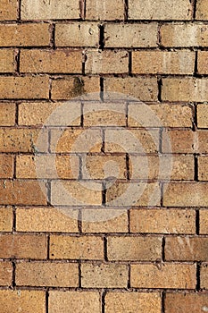 The beautiful pattern bricks wall