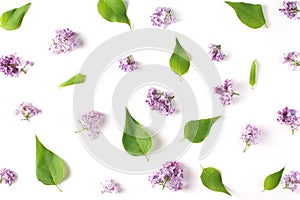 Beautiful pattern of fresh flowers and leaves lilac on white background. top view, minimal concept