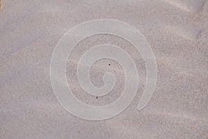A beautiful pattern of white sand on a beach of Baltic Sea.