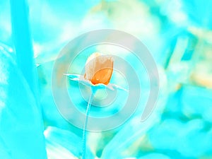 Beautiful pc hd wallpaper