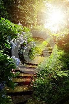 Beautiful peaceful Landscape; path in the old green park