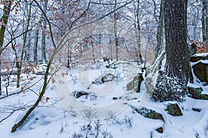 A beautiful peaceful natural scenery in winter