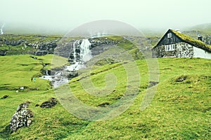 Beautiful peaceful rock house with green grass on the roof in Saksun valley next to the waterfall in foggy weather, Faroe Islands