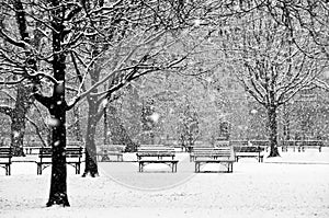 Beautiful, peaceful scene of a park during a winter