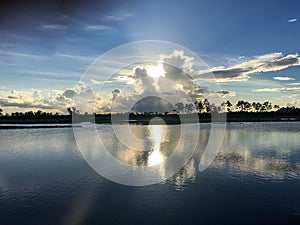 beautiful and peaceful sunset in the marshes of a swamp