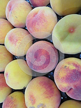 Beautiful peach fruit taste Color Odor Taste photo