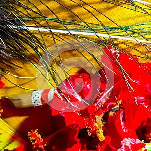 Beautiful Peacock Feather, Red Flowers, Flute And Unique Abstract Happy Krishan Janmashtami Or Happy Janmashtami Festival.