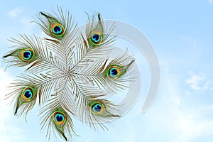 Beautiful peacock feather in sky background