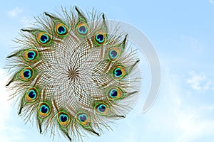 Beautiful peacock feather in sky background