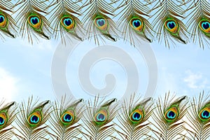 Beautiful peacock feather in sky background