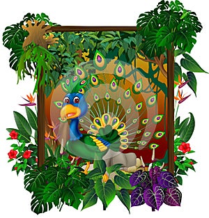 Beautiful Peacock In Forest With Tropical Plant Flower In Wood Square Frame Cartoon