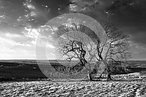 Beautiful Peak District black and white Winter landscape of view from The Roaches out across the frozen countryside