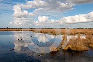 Beautiful peat landscape with the name `Amsterdamsche Veld