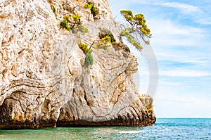 Beautiful pebble beach surrounded by high massive white limestone rocky cliffs eroded by Adriatic sea waves and wind. Green Aleppo