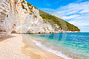 Beautiful pebble beach surrounded by high massive white limestone rocky cliffs eroded by Adriatic sea waves and wind. Green Aleppo