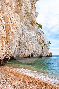 Beautiful pebble beach surrounded by high massive white limestone rocky cliffs eroded by Adriatic sea waves and wind. Green Aleppo