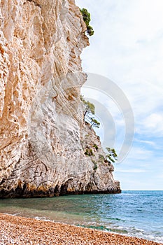 Beautiful pebble beach surrounded by high massive white limestone rocky cliffs eroded by Adriatic sea waves and wind. Green Aleppo