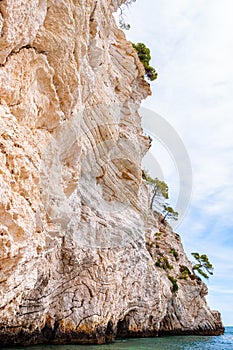 Beautiful pebble beach surrounded by high massive white limestone rocky cliffs eroded by Adriatic sea waves and wind. Green Aleppo