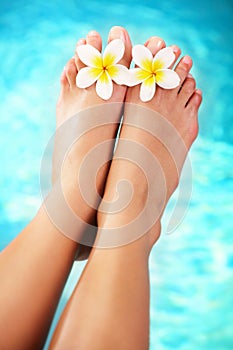 Beautiful pedicured female feet and tropical flowe