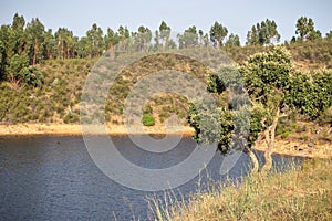 Beautiful "Pego do Altar " dam