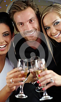 Beautiful people clinking glasses smiling photo