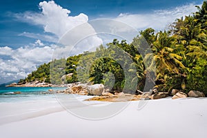 Beautiful Petite Anse beach at Mahe Island, Seychelles. Palm trees and blue sky. Holiday vacation destination