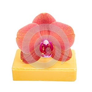 Beautiful phalaenopsis or exotic orchid flower on aroman soap isolated on the white