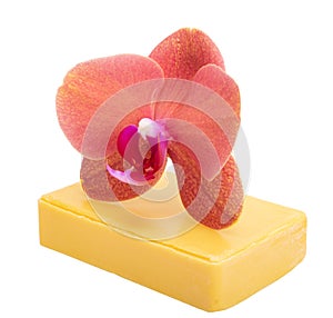 Beautiful phalaenopsis or exotic orchid flower on aroman soap isolated on the white