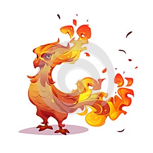Beautiful phoenix, firebird, fenix character photo